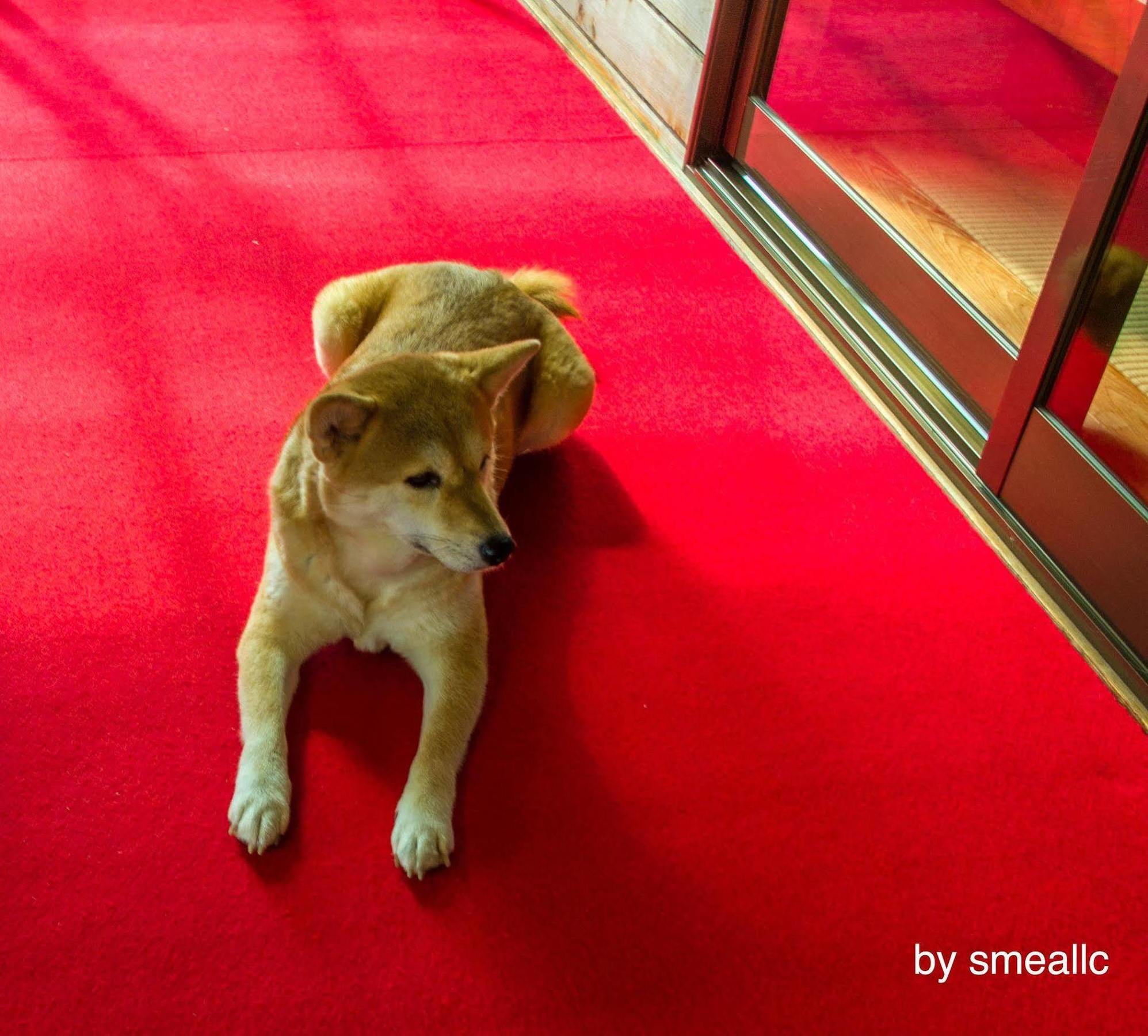 Hiogiso Hotel Shima  Bagian luar foto